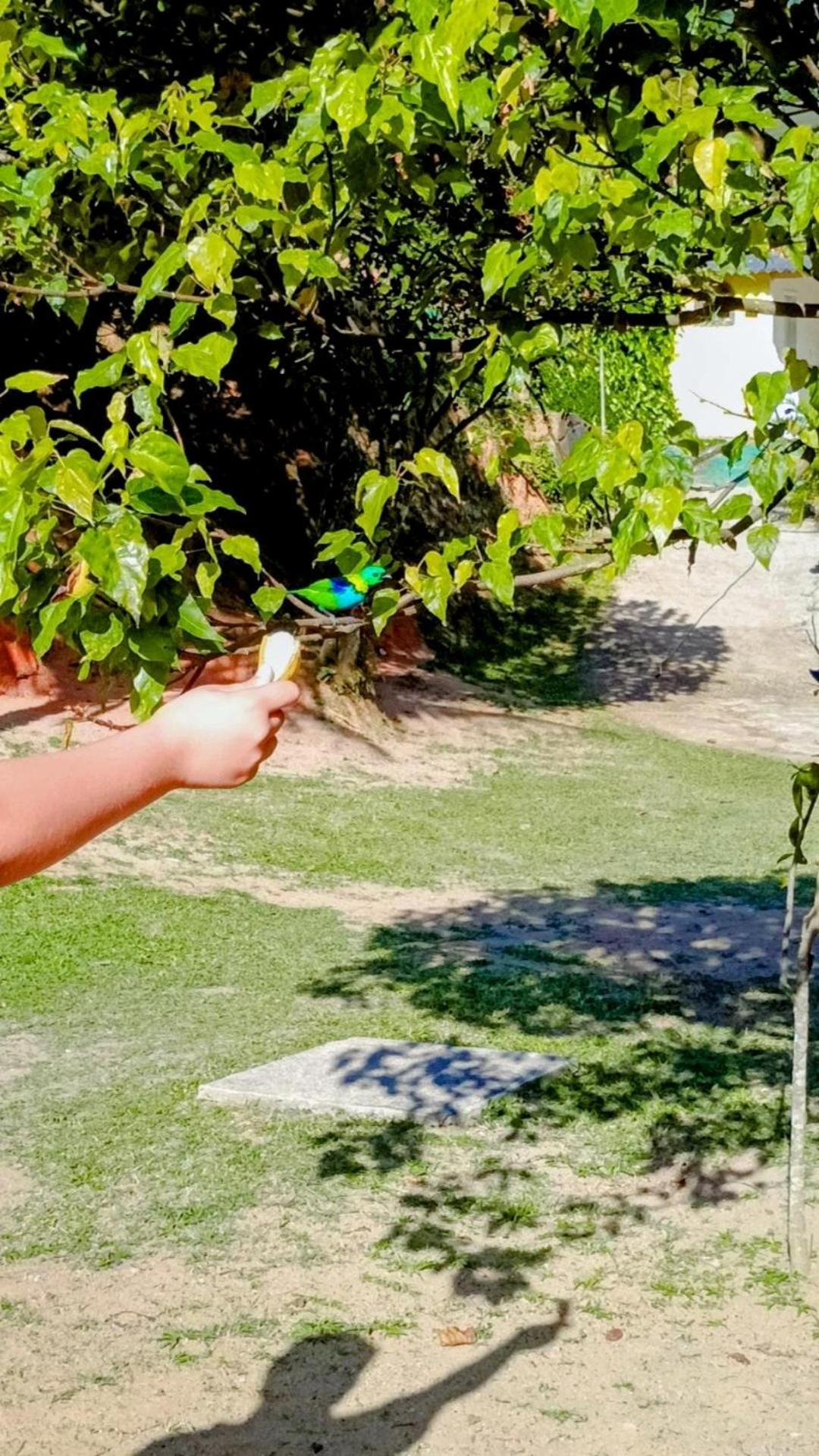 Pousada Casa Da Montanha Sana Exterior foto